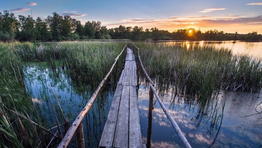 COP Travel Nadějská rybniční soustava