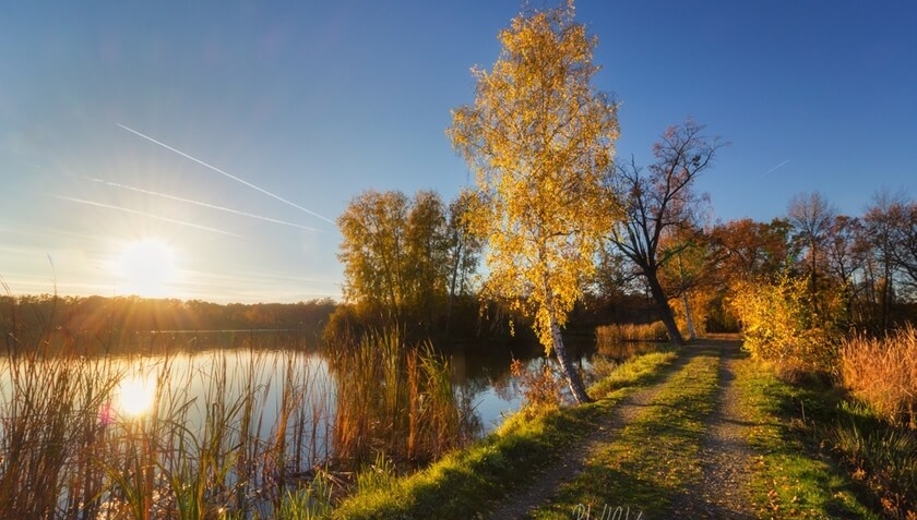 COP Travel Nadějská rybniční soustava